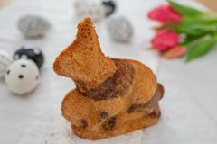 La casa ha fatto Pasqua Bunny Cake immagine stock La casa ha fatto Pasqua Bunny Cake immagine stock