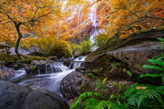 La cascata di lan di Khlong è belle cascate nella giungla Tailandia della foresta pluviale fotografia stock libera da diritti La cascata di lan di Khlong è belle cascate nella giungla Tailandia della foresta pluviale fotografia stock libera da diritti