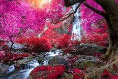 La cascata di lan di Khlong è belle cascate nella giungla Tailandia della foresta pluviale fotografie stock libere da diritti La cascata di lan di Khlong è belle cascate nella giungla Tailandia della foresta pluviale fotografie stock libere da diritti