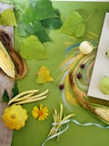 La composizione decorativa delle verdure, frutti, va su tela, mattonelle bianche fotografia stock libera da diritti La composizione decorativa delle verdure, frutti, va su tela, mattonelle bianche fotografia stock libera da diritti