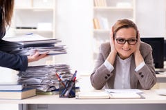 La donna di affari molto occupata con lavoro di ufficio in corso Fotografie Stock La donna di affari molto occupata con lavoro di ufficio in corso Fotografie Stock