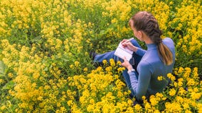 La femme dessine se reposer sur une herbe pendant la journée Elle peint se reposer sur un gisement de graine de colza photographie stock libre de droits La femme dessine se reposer sur une herbe pendant la journée Elle peint se reposer sur un gisement de graine de colza photographie stock libre de droits