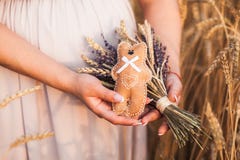 La femme enceinte dans la robe de liliac tient un bouquet de lavande et blé et un ours de nounours photos stock La femme enceinte dans la robe de liliac tient un bouquet de lavande et blé et un ours de nounours photos stock
