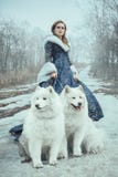 La femme sur la promenade d'hiver avec un chien images libres de droits La femme sur la promenade d'hiver avec un chien images libres de droits