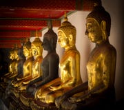 La fila de oro y de la oscuridad asentó buddhas en un templo budista foto de archivo libre de regalías La fila de oro y de la oscuridad asentó buddhas en un templo budista foto de archivo libre de regalías