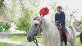 La fille de l'adolescence monte un cheval en parc d'attractions banque de vidéos La fille de l'adolescence monte un cheval en parc d'attractions banque de vidéos