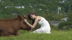 La fille heureuse frotte une vache au jour d'été banque de vidéos La fille heureuse frotte une vache au jour d'été banque de vidéos