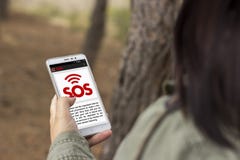 La fille a perdu dans la forêt demande l'aide par une application photos stock La fille a perdu dans la forêt demande l'aide par une application photos stock