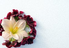 la flor, ramo, rosa, flores, blanco, rojo, naturaleza, aislada, primavera, planta, flor, belleza, floral, pétalo, verde, rosas, s imagen de archivo libre de regalías la flor, ramo, rosa, flores, blanco, rojo, naturaleza, aislada, primavera, planta, flor, belleza, floral, pétalo, verde, rosas, s imagen de archivo libre de regalías