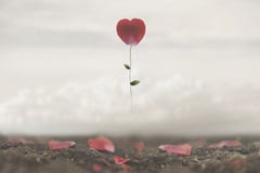 La flor romántica vuela en la imagen del cielo, conceptual y surrealista del amor fotografía de archivo La flor romántica vuela en la imagen del cielo, conceptual y surrealista del amor fotografía de archivo
