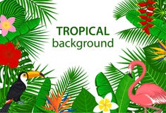 La forêt tropicale tropicale de jungle plante des oiseaux de fleurs, flamant, fond de toucan images libres de droits La forêt tropicale tropicale de jungle plante des oiseaux de fleurs, flamant, fond de toucan images libres de droits