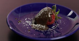 La fraise juteuse en chocolat foncé fondu obtient arrosent avec la poudre de sucre glace banque de vidéos La fraise juteuse en chocolat foncé fondu obtient arrosent avec la poudre de sucre glace banque de vidéos