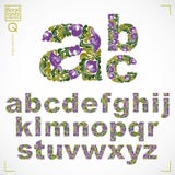 La fuente floral, alfabeto minúsculo del vector a mano pone letras a decoros ilustración del vector La fuente floral, alfabeto minúsculo del vector a mano pone letras a decoros ilustración del vector