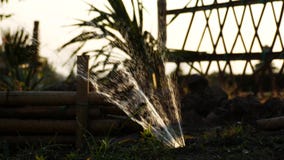 La fuente La fuente
