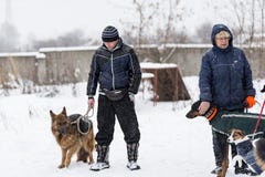 La gente camina sus perros en el invierno fotografía de archivo La gente camina sus perros en el invierno fotografía de archivo