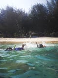 la gente che si immerge maschera nell'acqua fotografia stock la gente che si immerge maschera nell'acqua fotografia stock