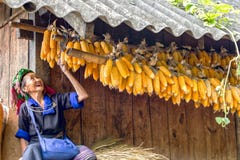 La gioia ha riempito il sorriso dalle minoranze etniche di palo secco del cereale immagine stock libera da diritti La gioia ha riempito il sorriso dalle minoranze etniche di palo secco del cereale immagine stock libera da diritti