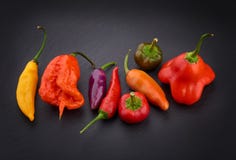La goccia di limone, il reaper della Carolina, l'arcobaleno boliviano, gli strappi di Satana, Satana cade, corona del vescovo immagine stock La goccia di limone, il reaper della Carolina, l'arcobaleno boliviano, gli strappi di Satana, Satana cade, corona del vescovo immagine stock