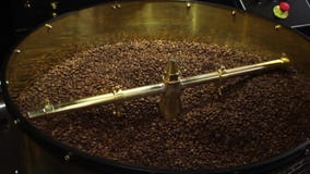 La gran técnica muele el café almacen de metraje de vídeo La gran técnica muele el café almacen de metraje de vídeo