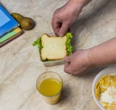 La grand-mère recueille le déjeuner pour l'enfant en sandwich à école photo stock La grand-mère recueille le déjeuner pour l'enfant en sandwich à école photo stock