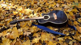 La guitarra miente en el bosque en las hojas amarillas Caída de las hojas del amarillo en la guitarra Bosque otoñal almacen de metraje de vídeo La guitarra miente en el bosque en las hojas amarillas Caída de las hojas del amarillo en la guitarra Bosque otoñal almacen de metraje de vídeo