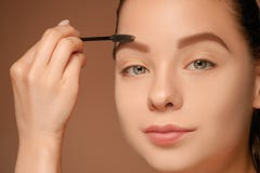 La hembra hermosa observa con maquillaje y el cepillo imagen de archivo libre de regalías La hembra hermosa observa con maquillaje y el cepillo imagen de archivo libre de regalías