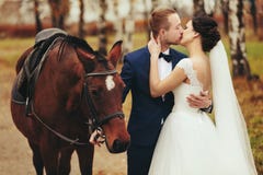 La jeune mariée embrasse un marié se tenant derrière un cheval images libres de droits La jeune mariée embrasse un marié se tenant derrière un cheval images libres de droits