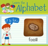 La lettera F di Flashcard è per il fossile royalty illustrazione gratis La lettera F di Flashcard è per il fossile royalty illustrazione gratis