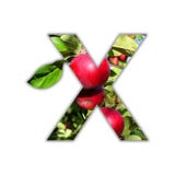La lettre X a fait du fruit frais photo stock La lettre X a fait du fruit frais photo stock