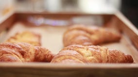 La macchina fotografica segue il cameriere o il panettiere porta il vassoio in pieno appena di croissant francesi croccanti al fo archivi video La macchina fotografica segue il cameriere o il panettiere porta il vassoio in pieno appena di croissant francesi croccanti al fo archivi video