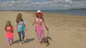 La madre con dos hijas está caminando a lo largo de la playa almacen de metraje de vídeo La madre con dos hijas está caminando a lo largo de la playa almacen de metraje de vídeo