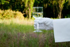 La main d'un serveur dans un gant blanc tient un verre dans la nature images libres de droits La main d'un serveur dans un gant blanc tient un verre dans la nature images libres de droits