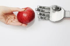 La mano de un hombre real da a robot una manzana roja imagen de archivo libre de regalías La mano de un hombre real da a robot una manzana roja imagen de archivo libre de regalías