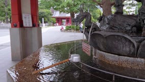 La mayoría del templo famoso en Tokio - el templo de Senso-Ji en Asakusa - TOKIO, JAPÓN - 12 de junio de 2018 almacen de video La mayoría del templo famoso en Tokio - el templo de Senso-Ji en Asakusa - TOKIO, JAPÓN - 12 de junio de 2018 almacen de video