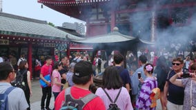 La mayoría del templo famoso en Tokio - el templo de Senso-Ji en Asakusa - TOKIO, JAPÓN - 12 de junio de 2018 almacen de metraje de vídeo La mayoría del templo famoso en Tokio - el templo de Senso-Ji en Asakusa - TOKIO, JAPÓN - 12 de junio de 2018 almacen de metraje de vídeo