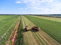 La mietitrice versa il silaggio nel rimorchio della pista Il lavoro è nel campo senza fine durante il tempo di raccolto Il foragg fotografie stock La mietitrice versa il silaggio nel rimorchio della pista Il lavoro è nel campo senza fine durante il tempo di raccolto Il foragg fotografie stock
