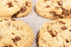 La morbidezza rotonda cuoce il biscotto di pepita di cioccolato Immagine Stock La morbidezza rotonda cuoce il biscotto di pepita di cioccolato Immagine Stock