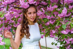 La muchacha atractiva con el pelo rizado en el vestido blanco está caminando en el jardín de Sakura del flor entre las flores ros imagenes de archivo La muchacha atractiva con el pelo rizado en el vestido blanco está caminando en el jardín de Sakura del flor entre las flores ros imagenes de archivo