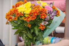 La muchacha el florista hace un ramo de flores El florista hace un ramo imagen de archivo La muchacha el florista hace un ramo de flores El florista hace un ramo imagen de archivo