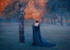 La muchacha en vestido azul largo de s con los hombros desnudos camina en súplicas brumosas de la mujer del bosque a la oscuridad imagenes de archivo La muchacha en vestido azul largo de s con los hombros desnudos camina en súplicas brumosas de la mujer del bosque a la oscuridad imagenes de archivo
