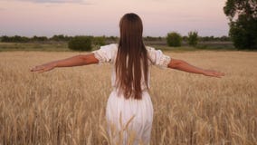 La muchacha feliz camina a través de un campo del trigo amarillo y toca los oídos del trigo con sus propias manos C?mara lenta Ch metrajes La muchacha feliz camina a través de un campo del trigo amarillo y toca los oídos del trigo con sus propias manos C?mara lenta Ch metrajes