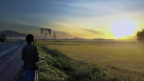 La muchacha hace el vídeo de Sun que sube sobre plantaciones del arroz La muchacha hace el vídeo de Sun que sube sobre plantaciones del arroz