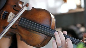 La muchacha toca el violín en la celebración de la boda La muchacha toca el violín en la celebración de la boda