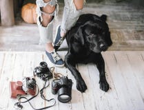 La mujer del inconformista se retrasa cerca de las cámaras digitales con un Labrador, concepto, forma de vida fotos de archivo libres de regalías La mujer del inconformista se retrasa cerca de las cámaras digitales con un Labrador, concepto, forma de vida fotos de archivo libres de regalías