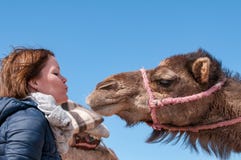 La mujer joven cayó en amor con el dromedario en Marruecos foto de archivo libre de regalías La mujer joven cayó en amor con el dromedario en Marruecos foto de archivo libre de regalías
