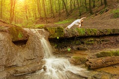 La mujer practica yoga en la naturaleza, la cascada Actitud del phanurasana de Urdhva imágenes de archivo libres de regalías La mujer practica yoga en la naturaleza, la cascada Actitud del phanurasana de Urdhva imágenes de archivo libres de regalías