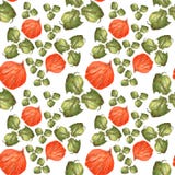 La naranja florece el physalis y el verde se va en el fondo blanco Modelo inconsútil de la acuarela libre illustration La naranja florece el physalis y el verde se va en el fondo blanco Modelo inconsútil de la acuarela libre illustration