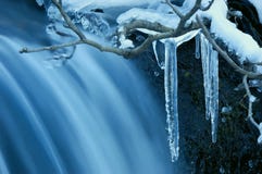 La natura in inverno fotografia stock libera da diritti La natura in inverno fotografia stock libera da diritti
