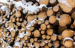 La neige a couvert des logs photos libres de droits La neige a couvert des logs photos libres de droits