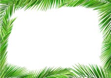La noce di cocco lascia il blocco per grafici royalty illustrazione gratis La noce di cocco lascia il blocco per grafici royalty illustrazione gratis